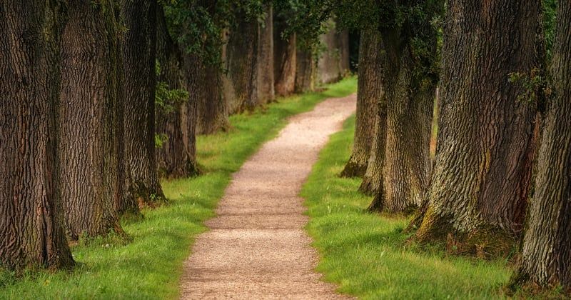 Grandes villes nature à visiter en Bourgogne : nos coups de cœur